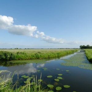 Bouwen in de laaggelegen polder Rijnenburg, wel of niet doen?